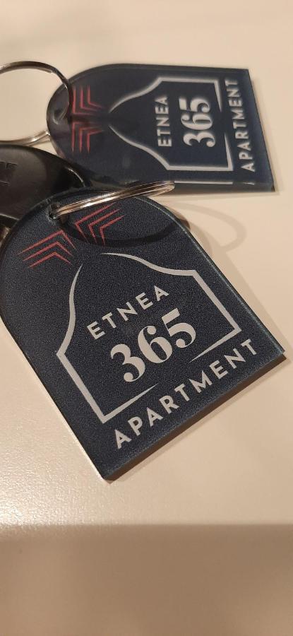 Etnea 365 Apartment カターニア エクステリア 写真